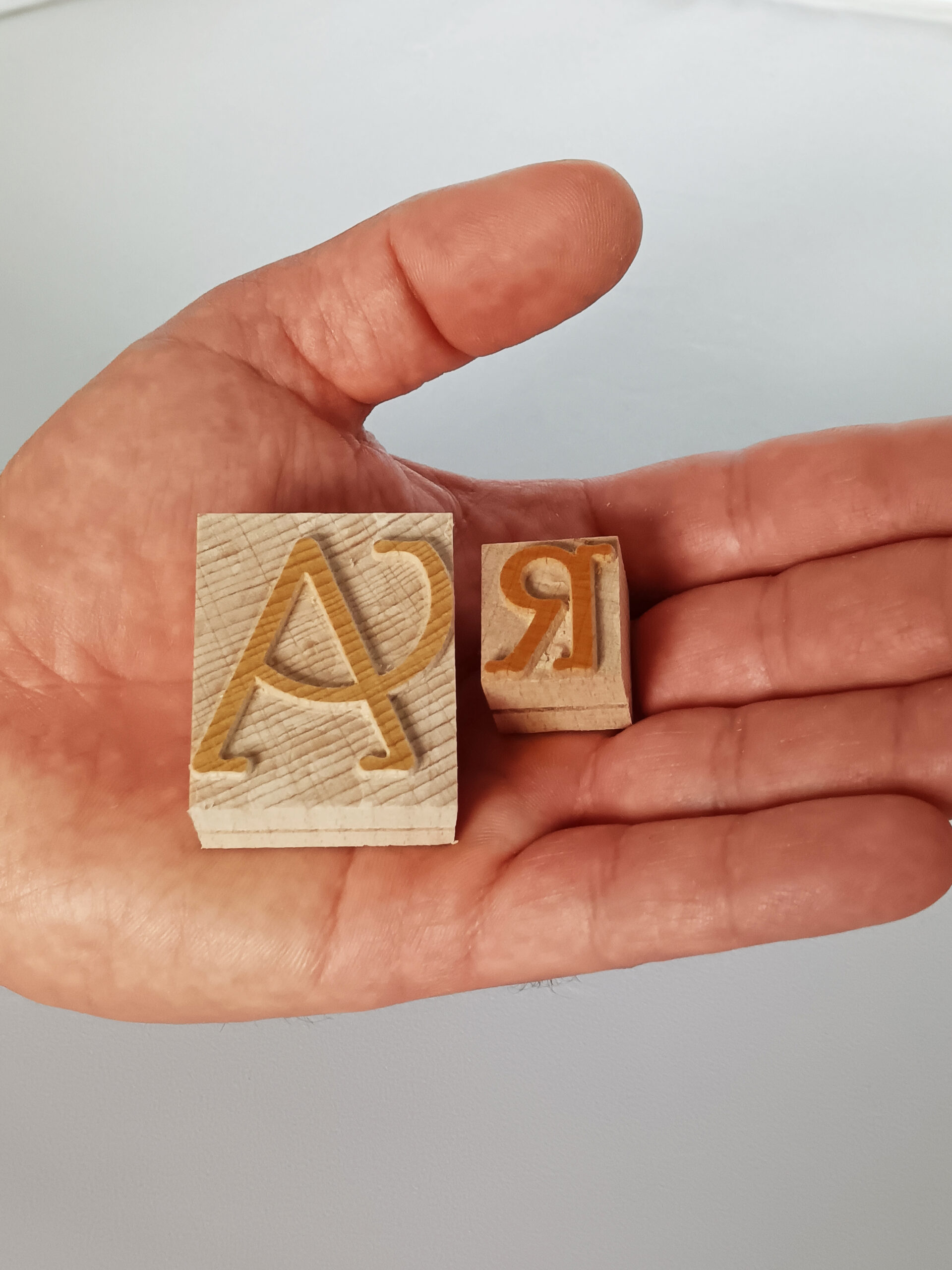 Parsons SWASH - Wood type - Image 6
