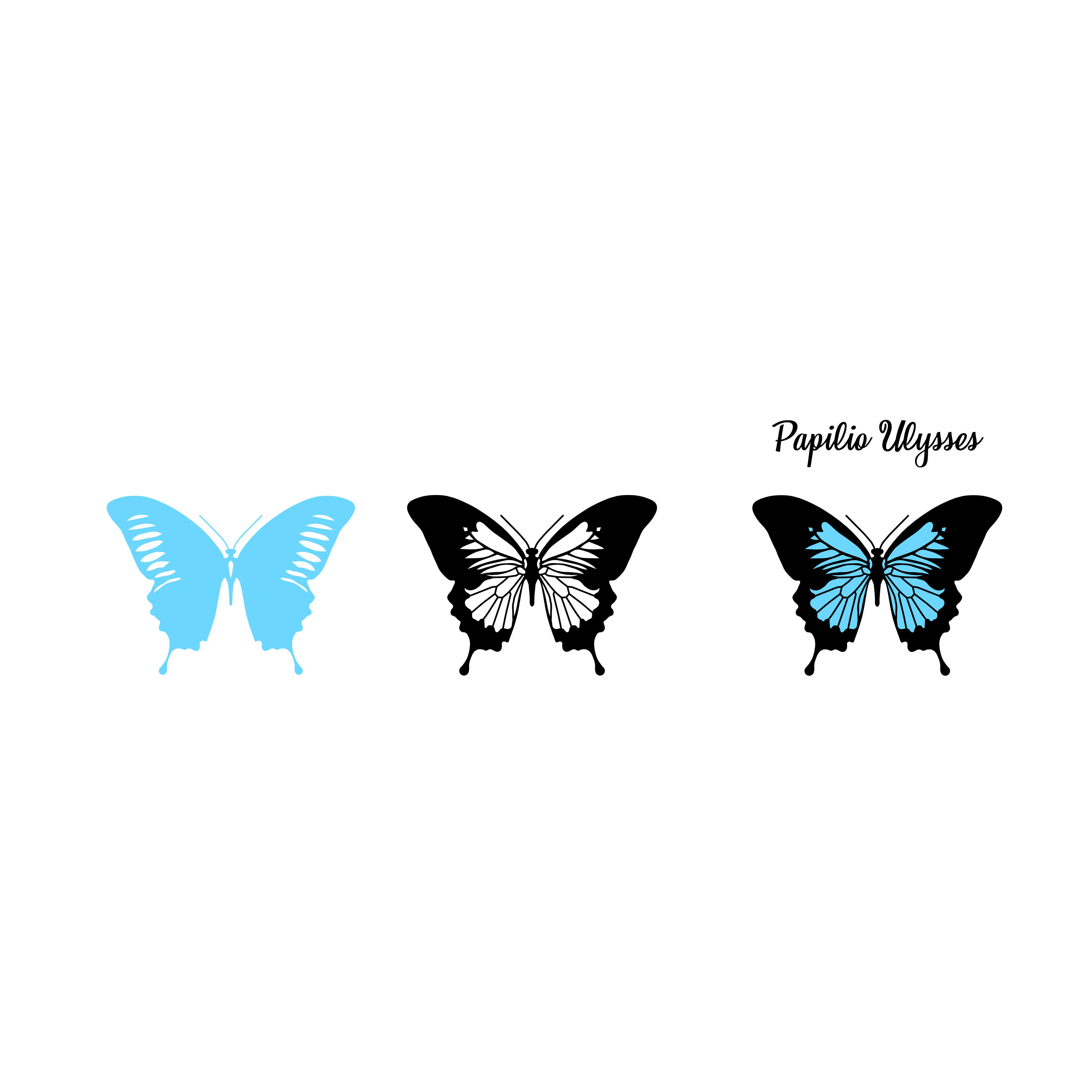 Butterfly Papilio   Wood type